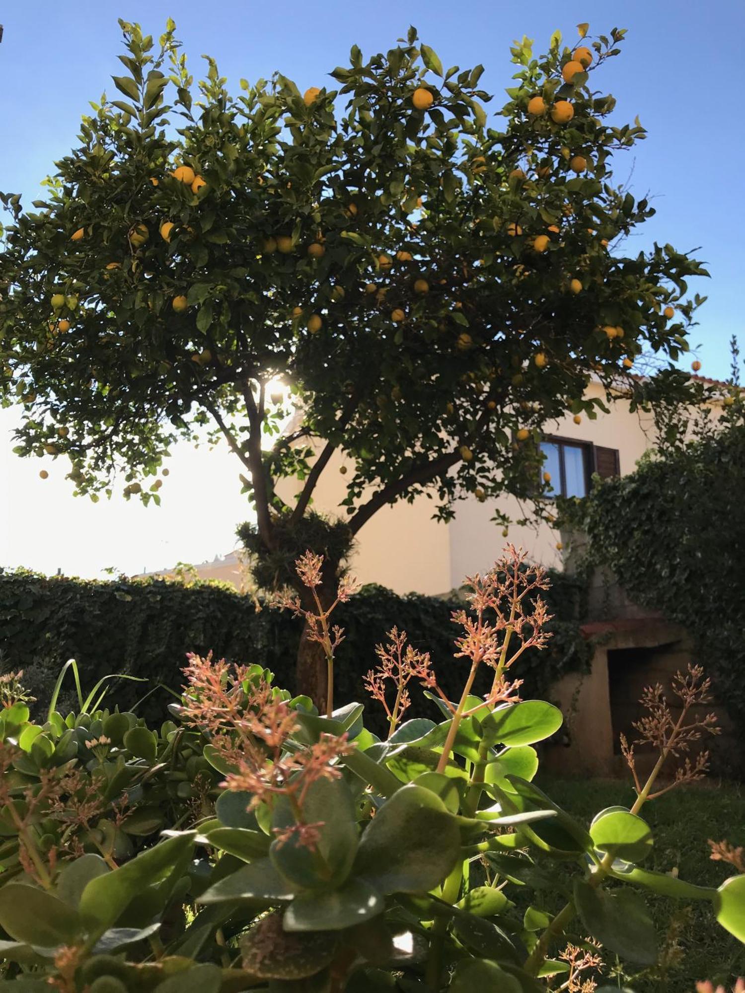 Cityloft Olbia Dış mekan fotoğraf